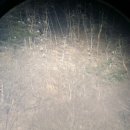 영주시부석면상석보건진료소 이미지