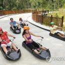 통영루지 이미지