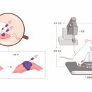 바이오플러스 (099430) 이미지