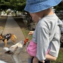 새별목장 이미지