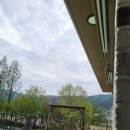 풀잎패밀리하우스 이미지