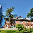 나무이야기 이미지