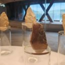 전곡 선사박물관 이미지