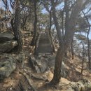 절고개 | 청계산 등산 후기(과천 매봉에서 성남 매봉까지)