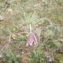 음암초등학교 이미지