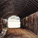 오티농장 이미지