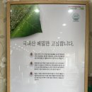 타래함흥냉면 이미지