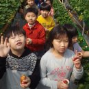 부창농장 이미지