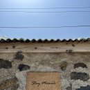 스테이미엔느 이미지