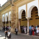 오렌지정원 이미지