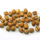 보양제약 이미지