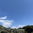 야동목장 | 커플 제주도 한달살기 후기