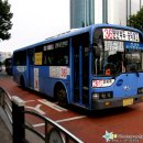 간선-36 이미지