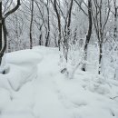 전북 남원 지리산 바래봉산행기 이미지