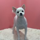 딱이네미용실 이미지