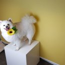 살롱드몽몽 이미지