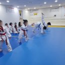 월드스타클래스태권도장 이미지