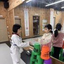 연세 성원 태권도 이미지