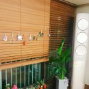 그린인테리어 홈가드닝 이미지