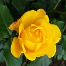 묵동장로교회 이미지