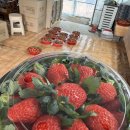 보광농장 이미지