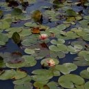 하늘가축병원 이미지