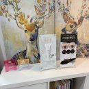 브로우돌 | 속눈썹펌 실패 경험 후 찾은 의정부 브로우돌 후기