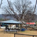 느티나무집민박 이미지