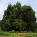 종로-종로-종로-종-314 이미지