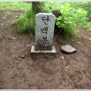 능강민박 이미지