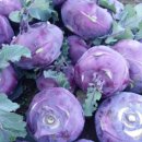 은빛농장 이미지