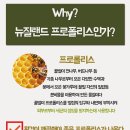 뉴질랜드네이쳐