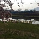 곡성기차당 뚝방마켓 이미지