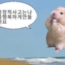 금학칼국수