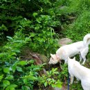 벧엘요양병원 이미지