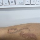 제이즈의원 이미지