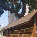 드림 미술교습소 이미지