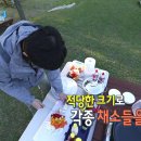 가비장의 이미지