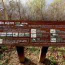 서호공원 이미지