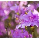 과거,현재,미래 이미지