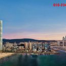 테라스타 이미지