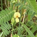 용연1통마을회관 이미지