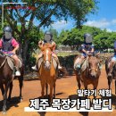 둥이목장 | 제주에서 아이랑 가면 무조건 만족! 말도 타고 힐링도 되는 목장카페 밭디 후기