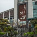 하영냉난방 | 포텐 터졌던 제주 중문 저녁 하영 흑돼지