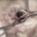 서울송도병원 이미지