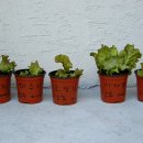 석관동8 이미지