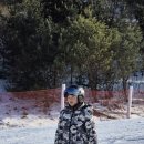 용인대 멘토 태권도장 이미지