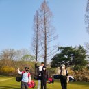 스타키즈 골프아카데미 이미지