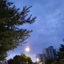 능곡어울림센터 | 능곡어울림센터 생활체육시설 수영강습 예약 -접수시간, 등록기간, 이용후기