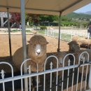 해운농장 이미지